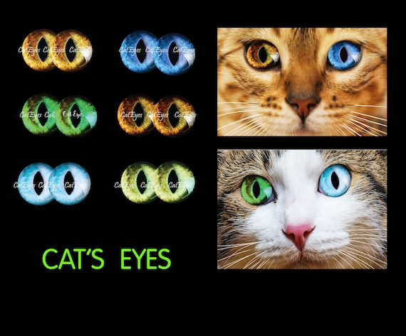 Printable Realistic Cat Doll Irises For Crafts