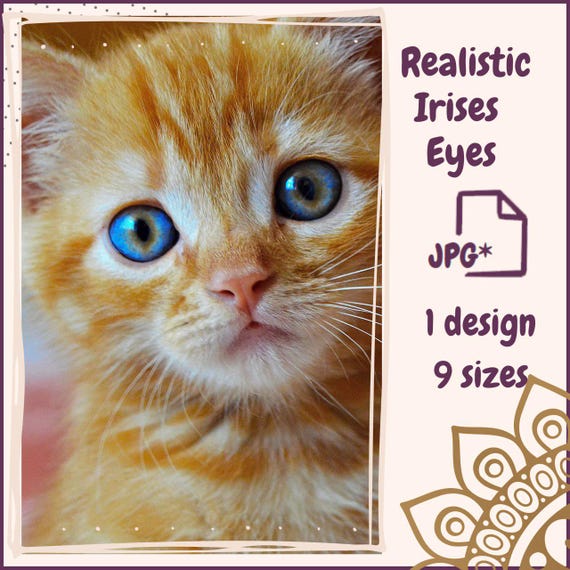 Printable Cat And Doll Eyes With Realistic Irises